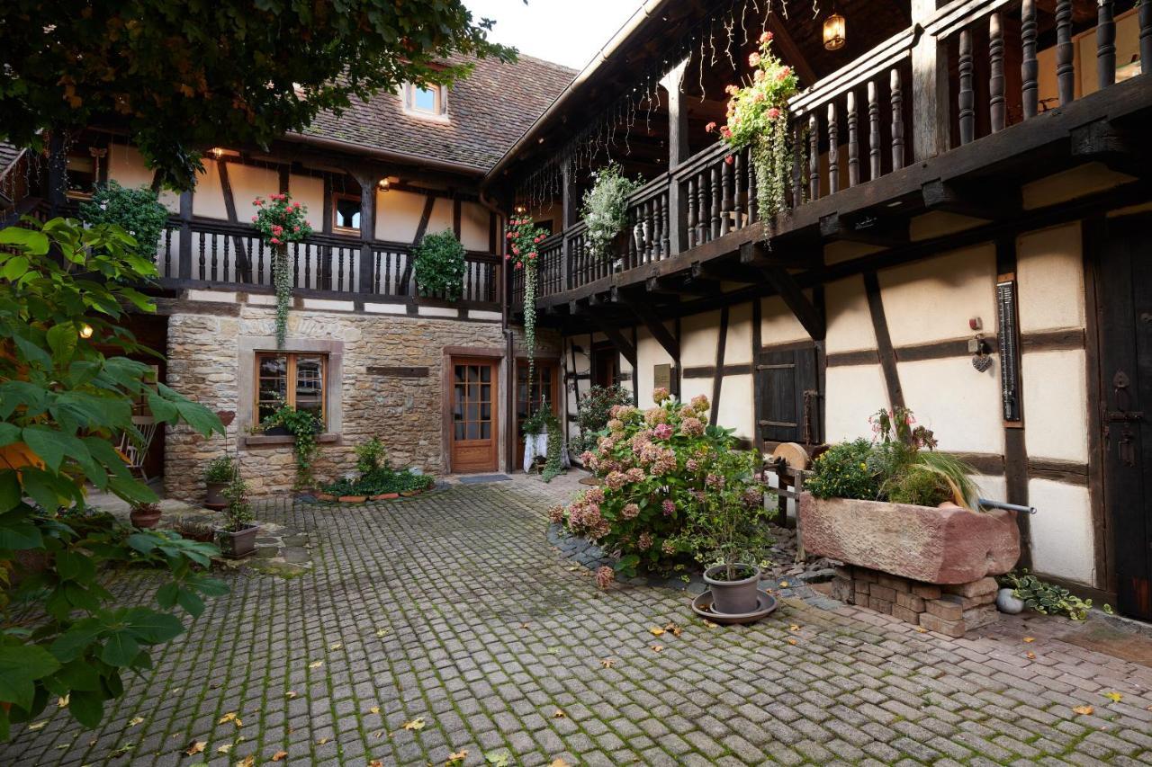 La Cour De Lise Maison D'Hotes Et Spa Willgottheim Exterior photo